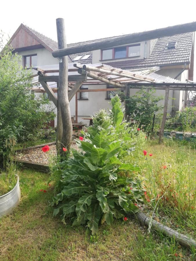 Biohof Am Turawa-See Szczedrzyk Eksteriør bilde