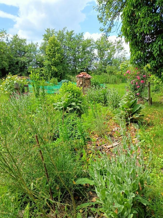Biohof Am Turawa-See Szczedrzyk Eksteriør bilde